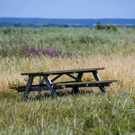 C11263-hemmet-strand-raevekrogen-64