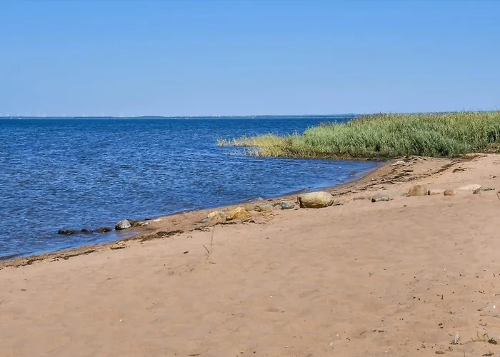C11263-hemmet-strand-raevekrogen-64