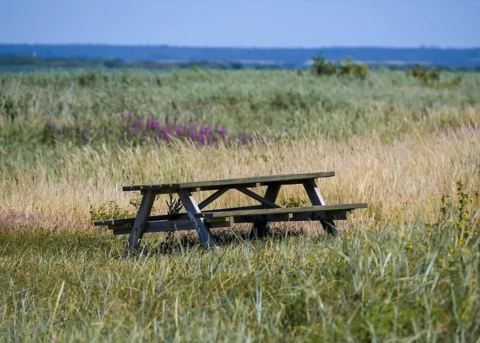 C11263-hemmet-strand-raevekrogen-64